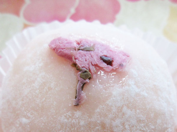 青いクマ 桜咲くぷりん大福