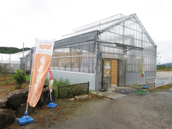 馥郁農園でいちご狩りをしてきました