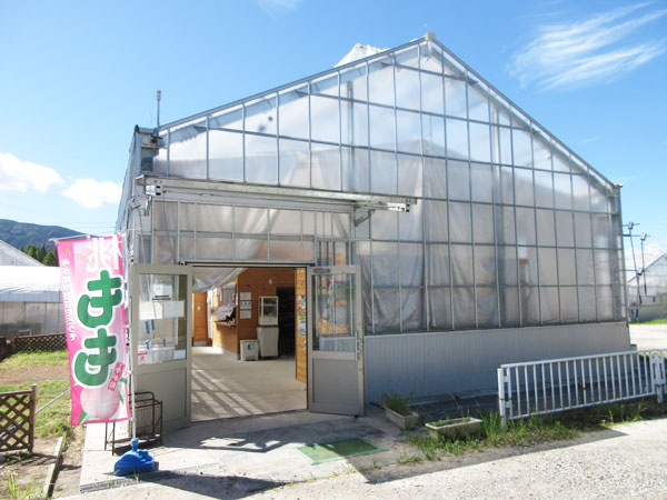 馥郁農園の直売所で桃を買いました