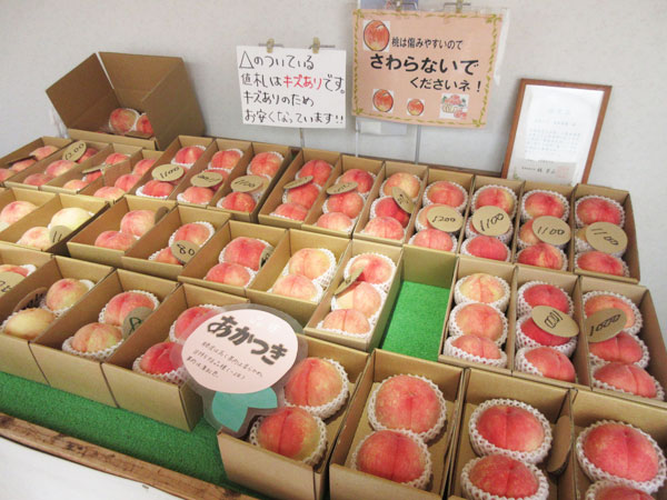 馥郁農園の直売所で桃を買いました