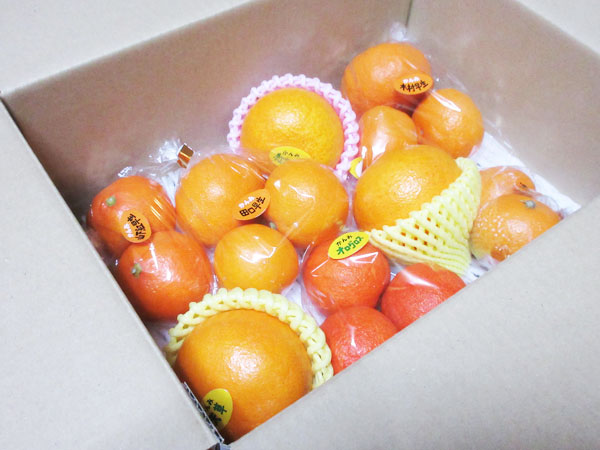 旬の柑橘が食べ比べできちゃう柑橘の定期便・かんみ