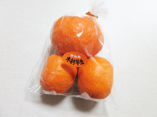 【柑橘の断面図】木村早生