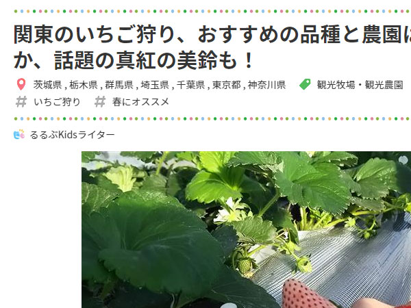 るるぶKids 関東のいちご狩り記事が公開されました