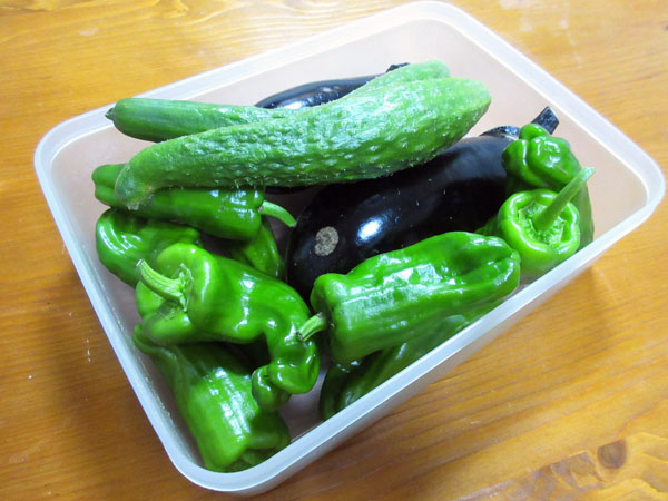 今日の畑仕事(8月6日)
