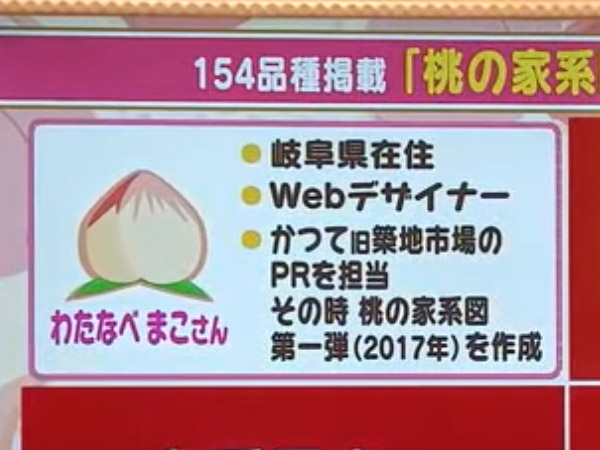 福島テレビ テレポートプラスで桃の家系図を取り上げて頂きました