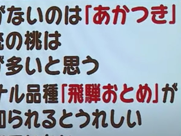 福島テレビ テレポートプラスで桃の家系図を取り上げて頂きました