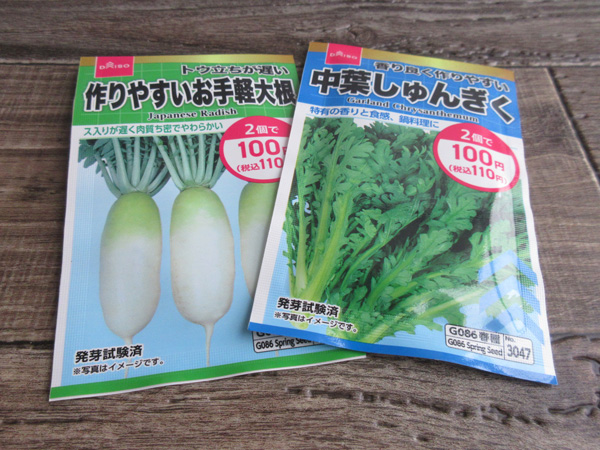 大根と春菊の種を蒔きました