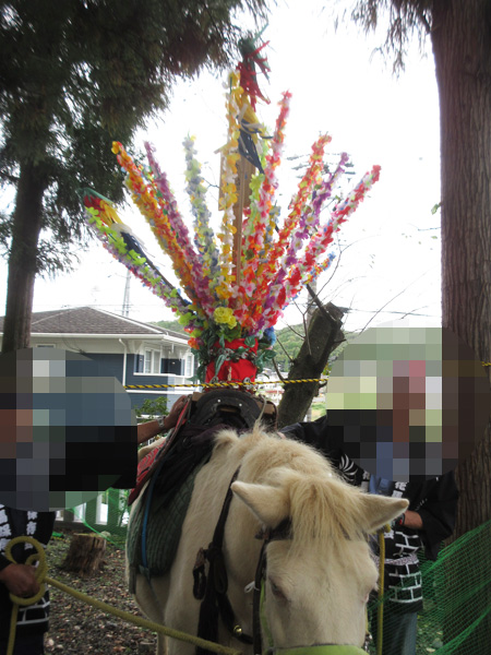 【土岐市】八剣神社 秋の例大祭花馬奉納