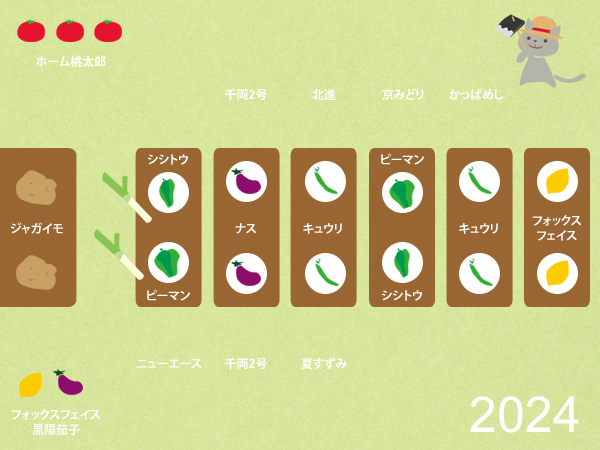 今年の畑の計画書