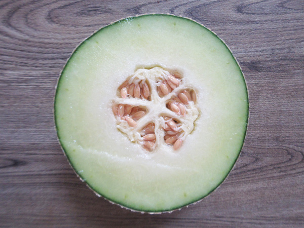 【メロンの断面図】南知多のメロン