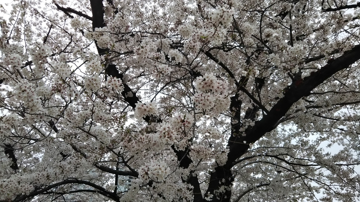 f:id:dannjiki835:20210329191414j:plain