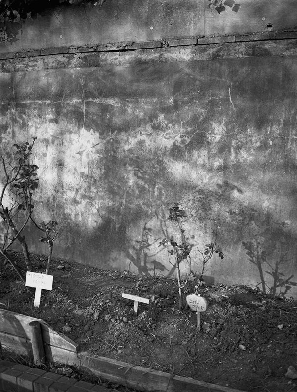 f:id:danntyoutei:20171218232455j:plain