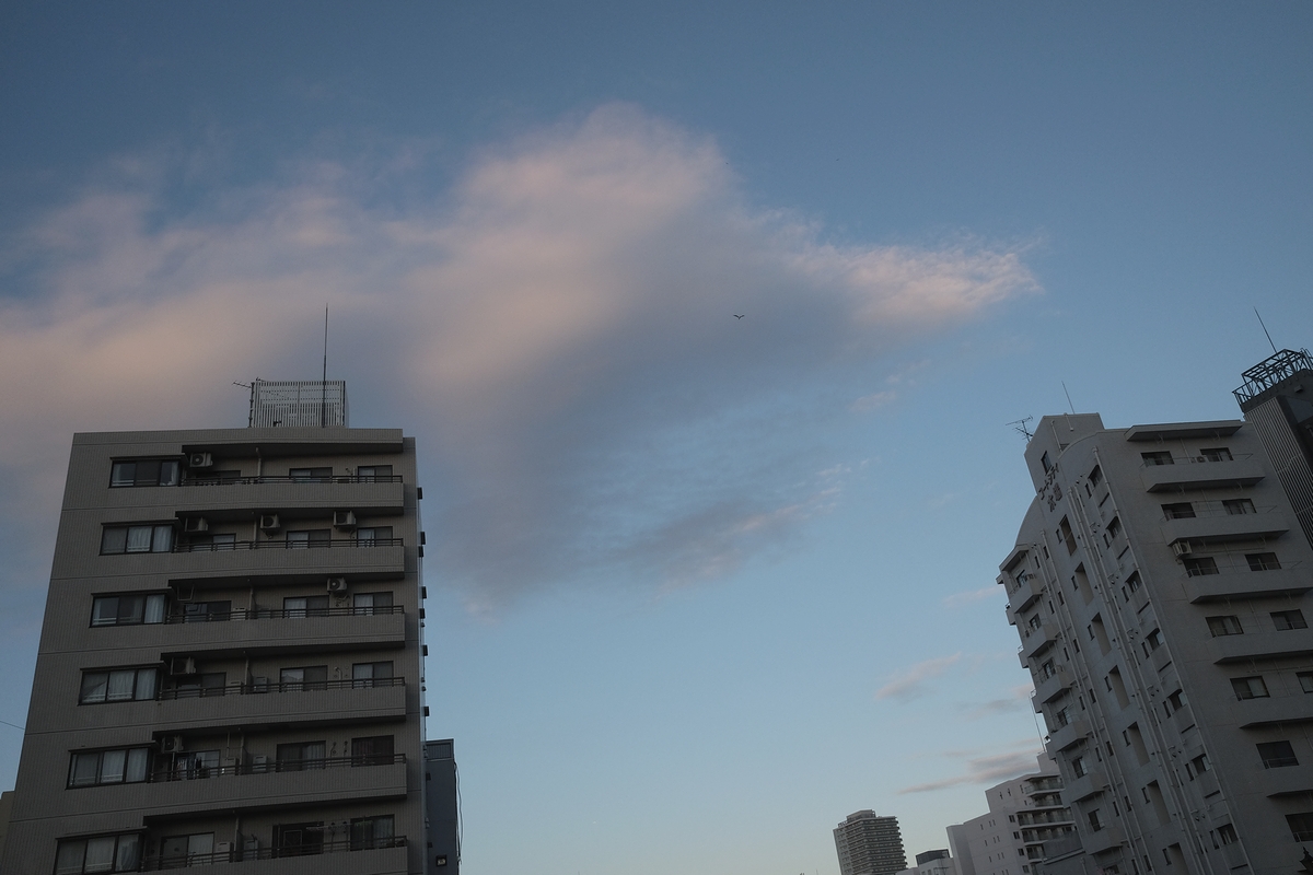 f:id:danntyoutei:20180102031646j:plain