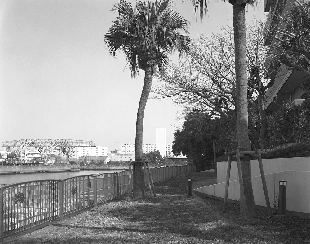 f:id:danntyoutei:20180127223706j:plain