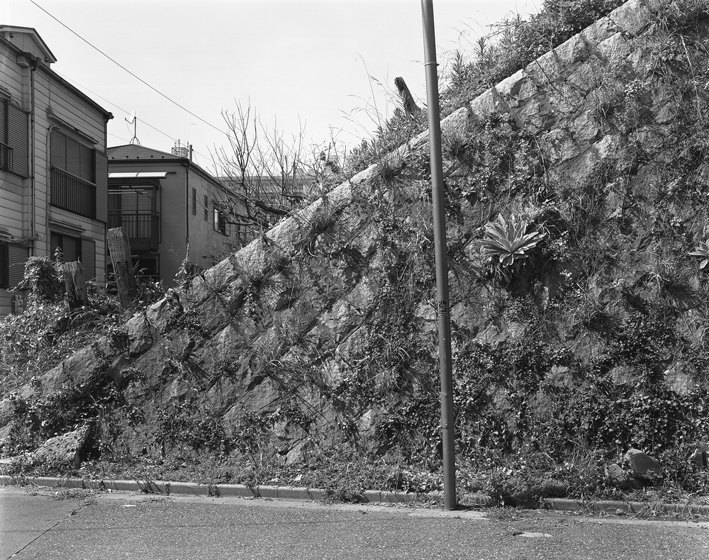 f:id:danntyoutei:20180611001545j:plain