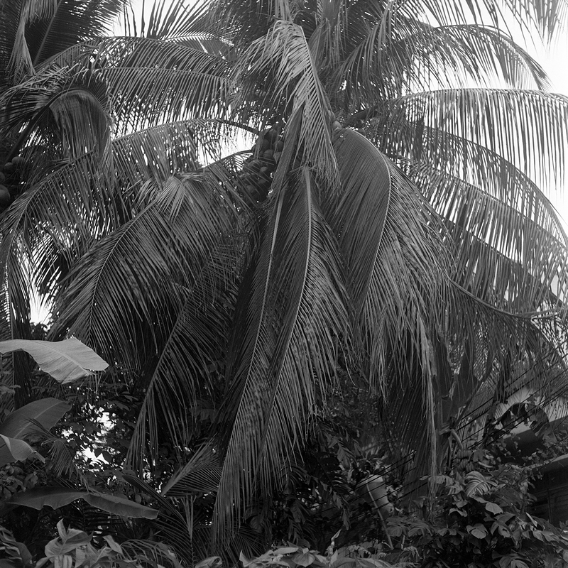 f:id:danntyoutei:20180623223449j:plain