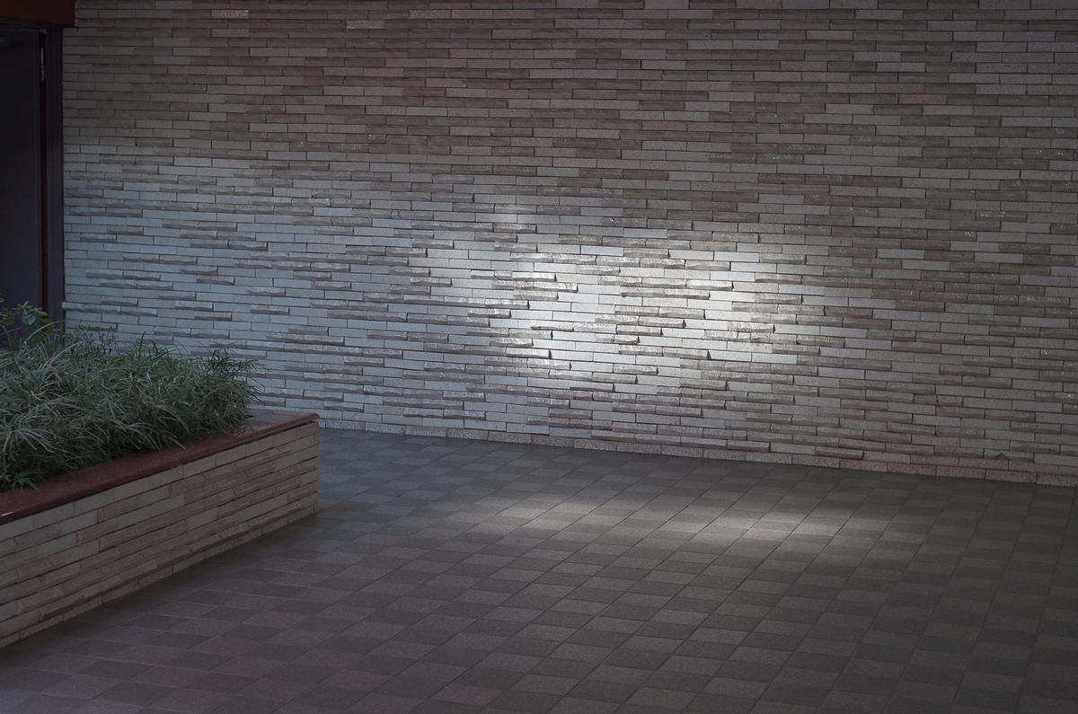 f:id:danntyoutei:20190221180243j:plain