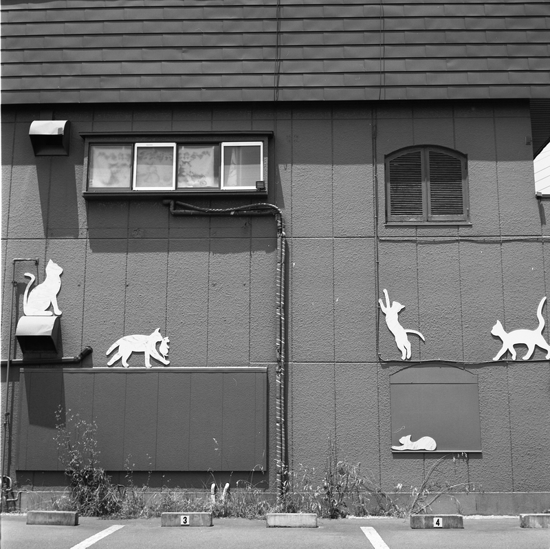 f:id:danntyoutei:20210903172143j:plain