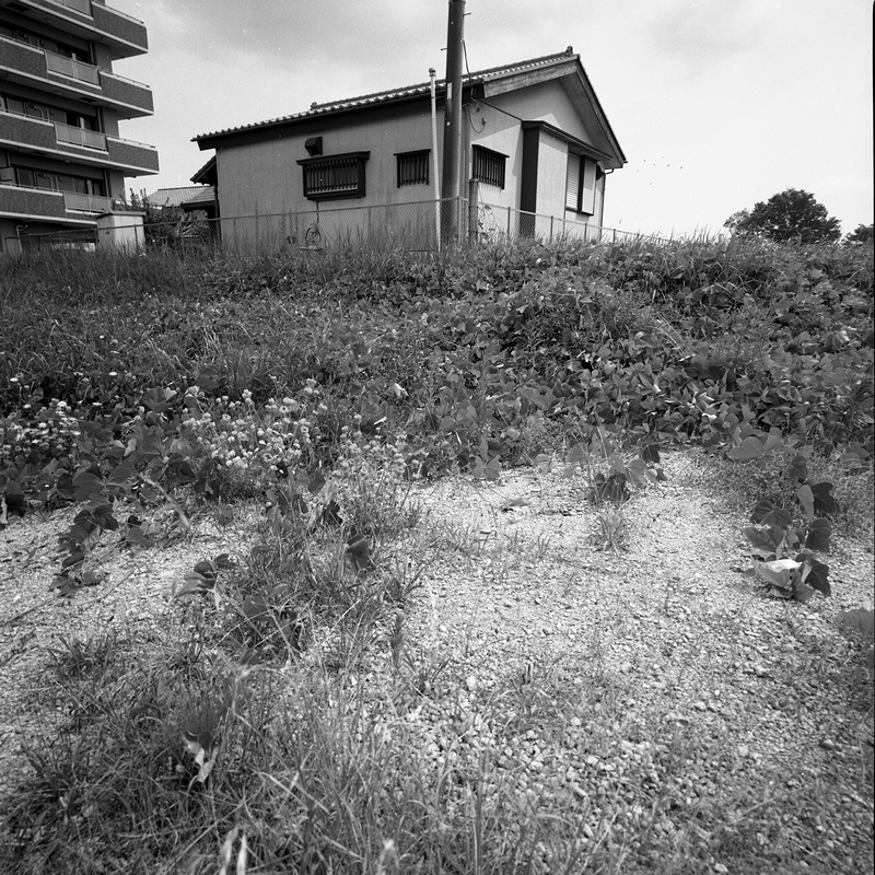 f:id:danntyoutei:20210910081358j:plain