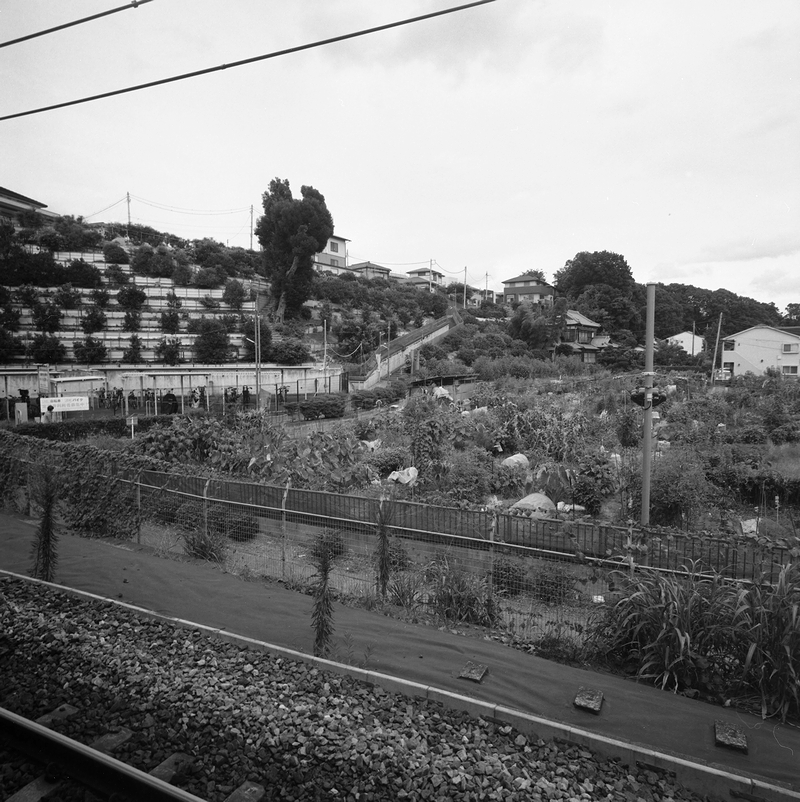 f:id:danntyoutei:20210914083905j:plain