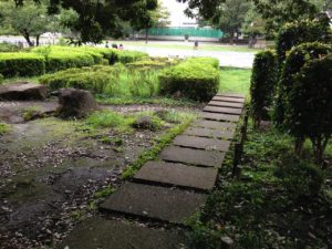 湘南台公園3