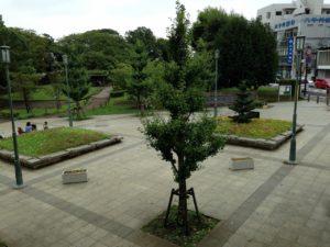 湘南台公園6