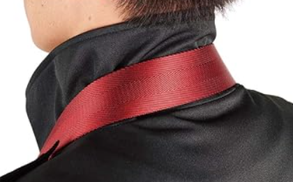ハクバ HAKUBA カメラマン用高機能ベスト GW-PRO RED③