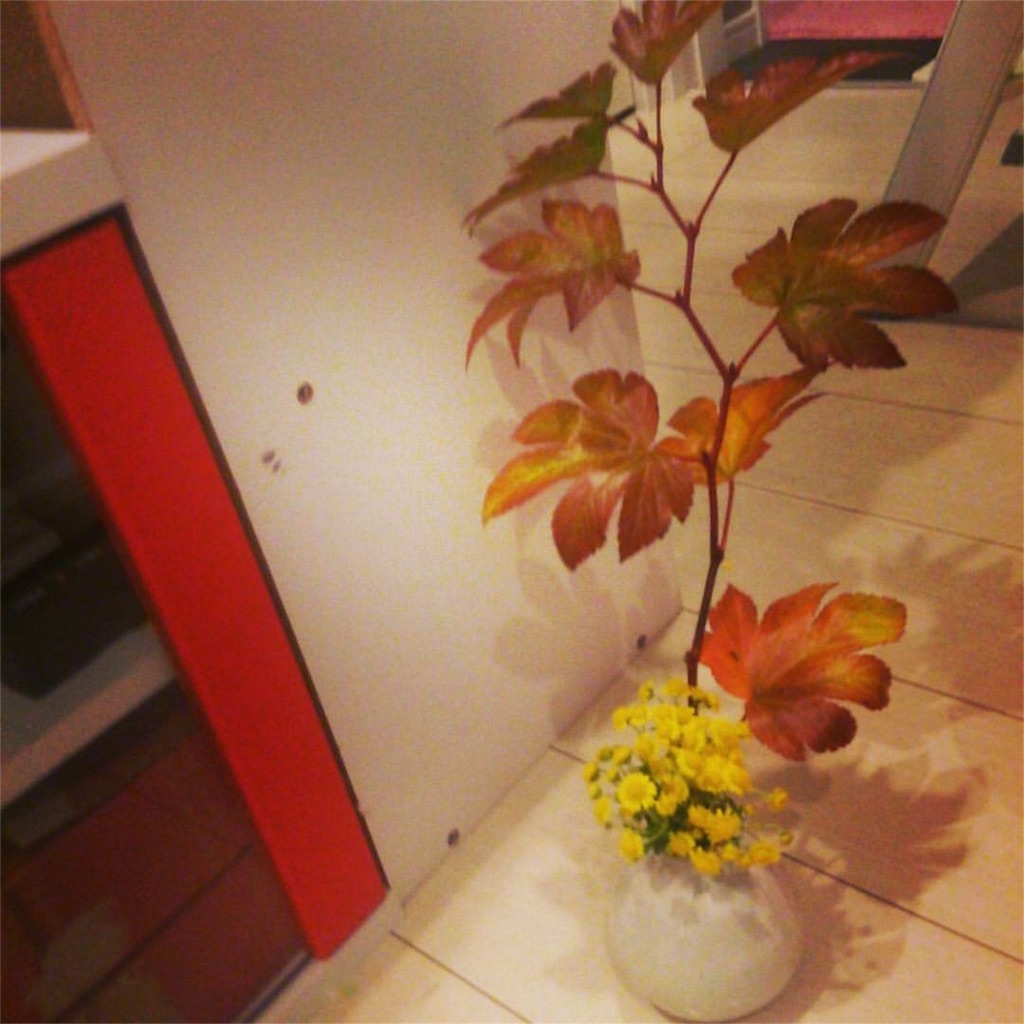 f:id:dansfata:20160221102702j:image f:id:dansfata:20160221102702j:image