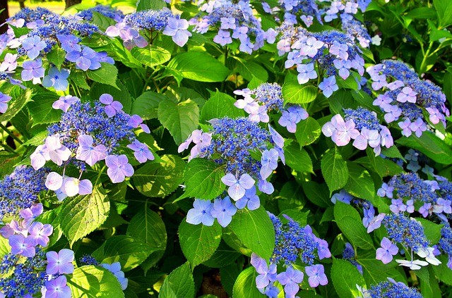 f:id:dansuzuki:20190616181255j:image f:id:dansuzuki:20190616181255j:image