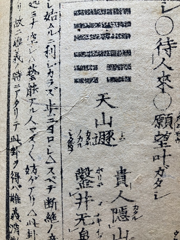 天山遯