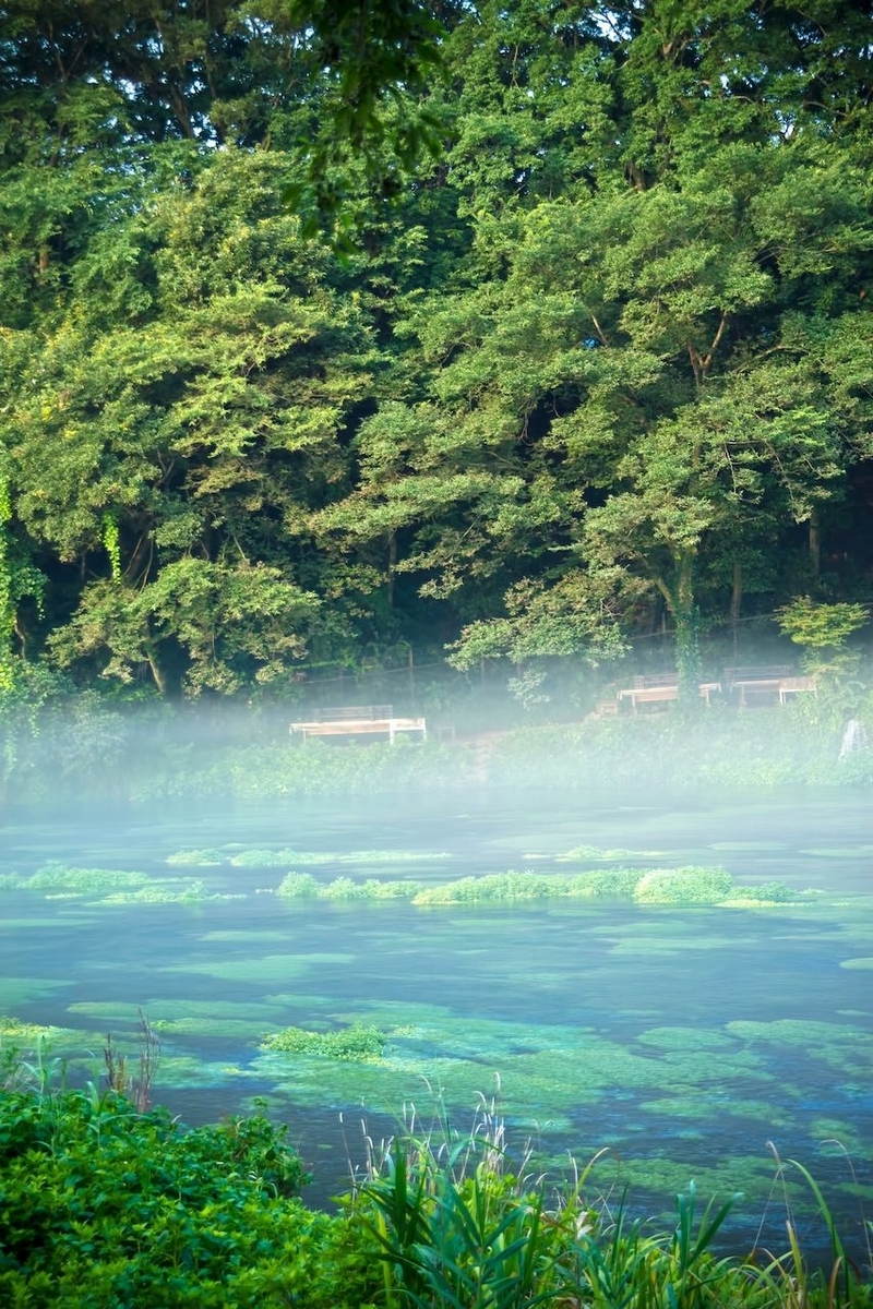 水風井