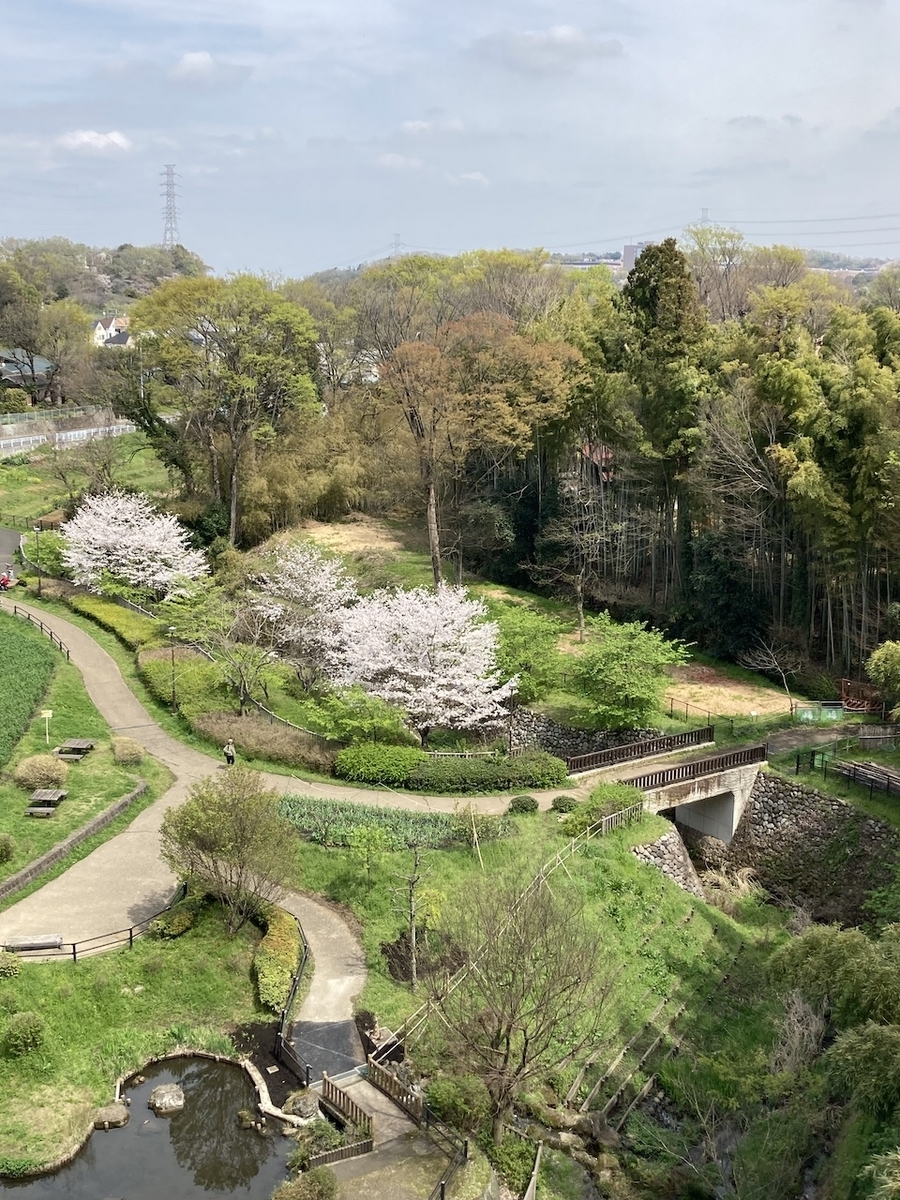 多摩丘陵地域の春