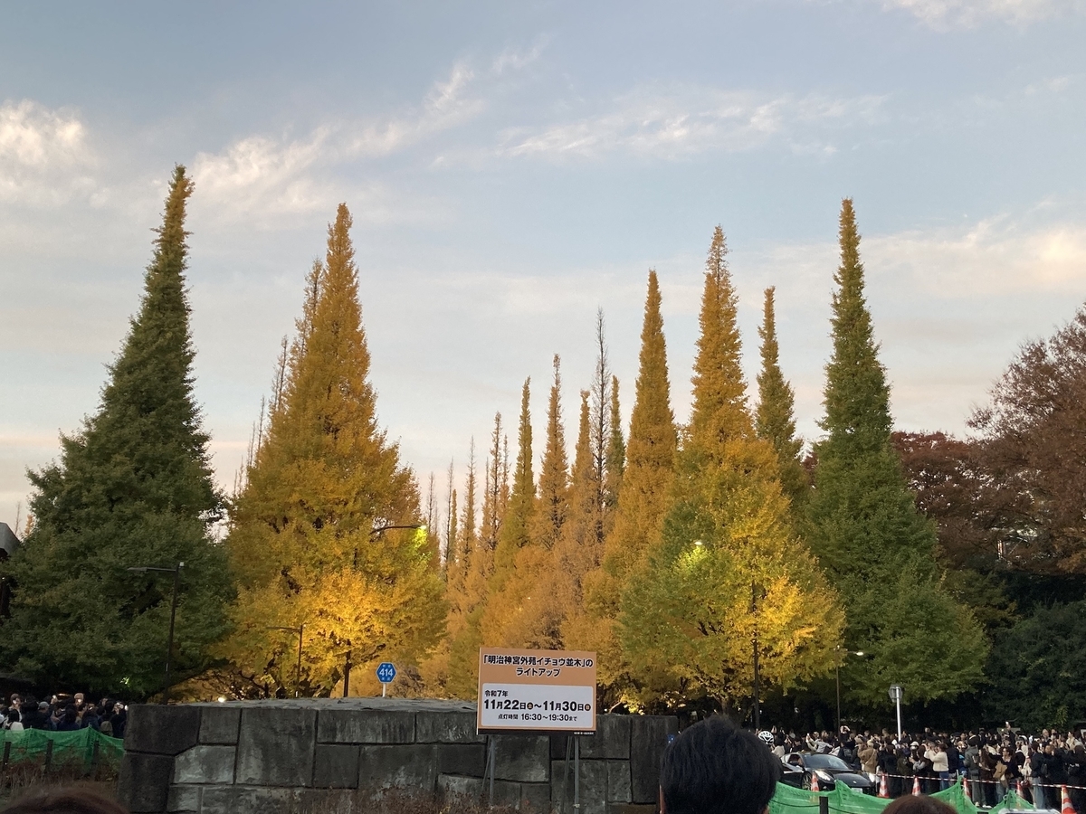 神宮外苑銀杏並木遠景