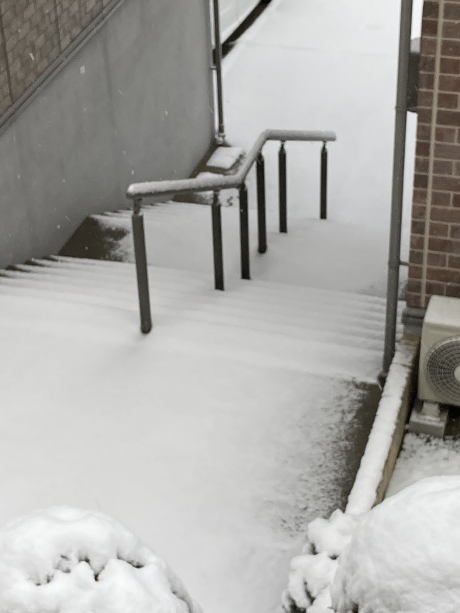 雪の朝