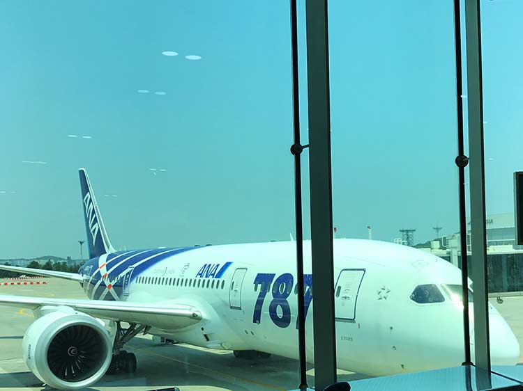 ANA787 特別塗装機