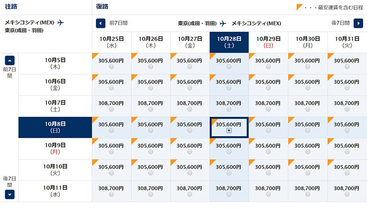ANAメキシコシティ発券　東京行き