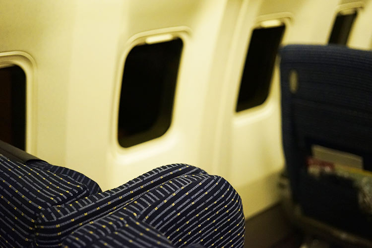 ANA ボーイング767機内