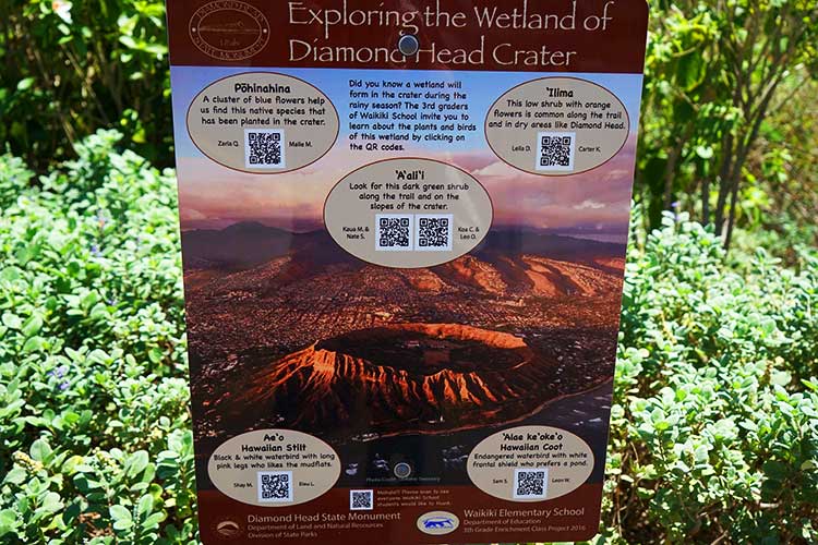 ダイヤモンドヘッド看板