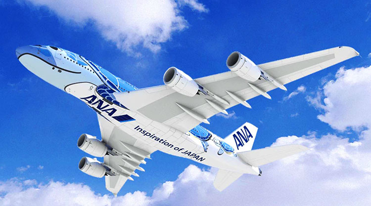 ANA A380 ホヌ