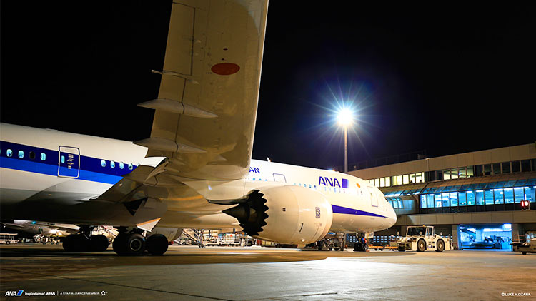 f:id:dantra:20180125003707j:plain