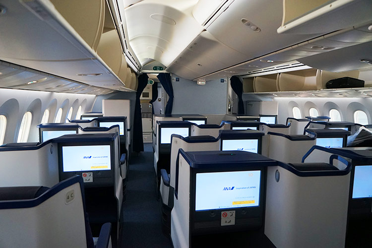 ANA ビジネススタッガード