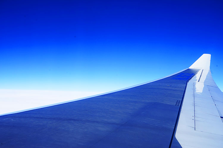 機内かなの光景