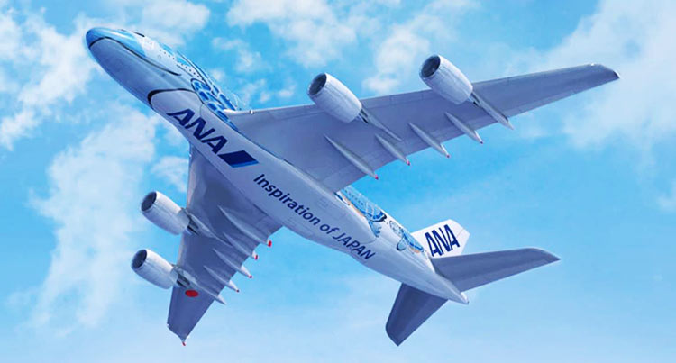 Airbus A380 ANA 2号機　　1:500 全日空商事 A380 ANA 全日空 FLYING HONU(フライングホヌ/カイ