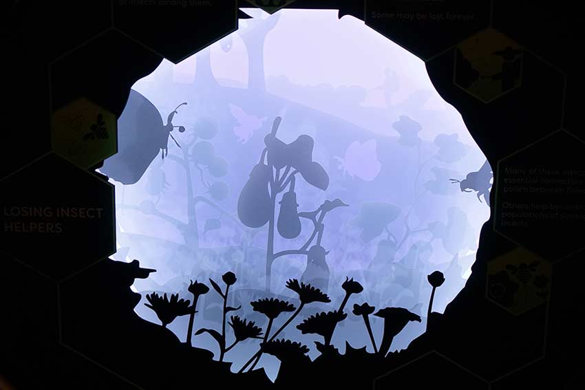 シンガポール シンガポール