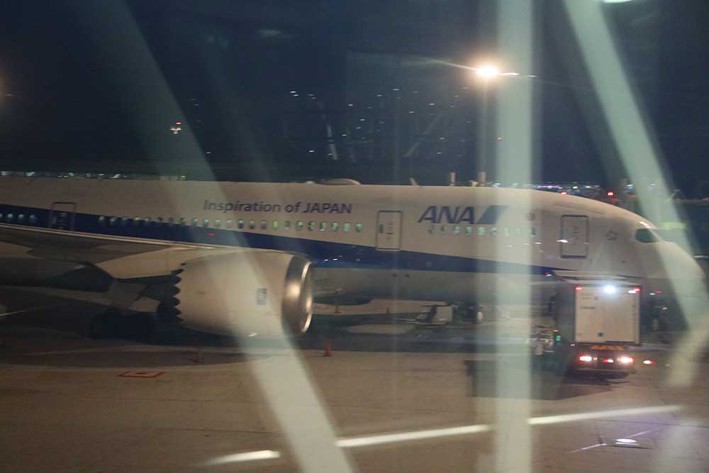ANA B787
