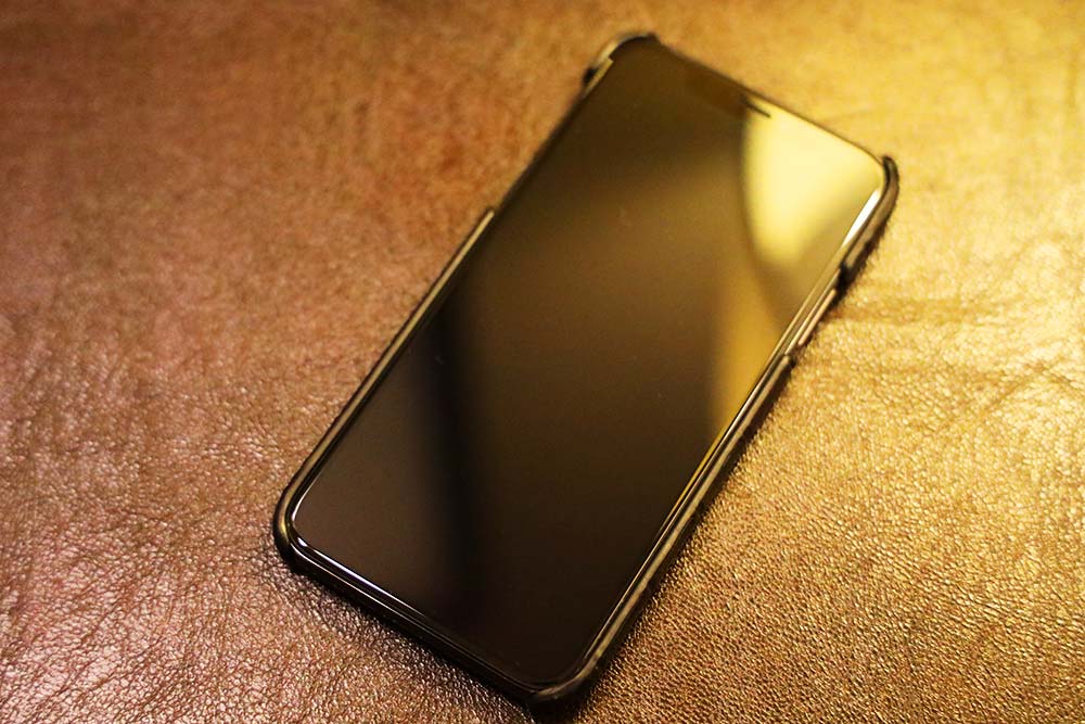 iPhoneX
