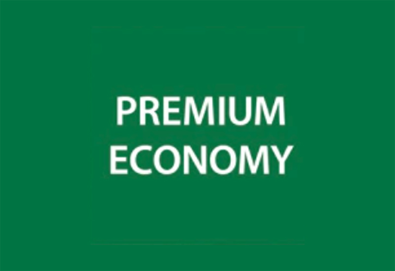 ANA　premium economy