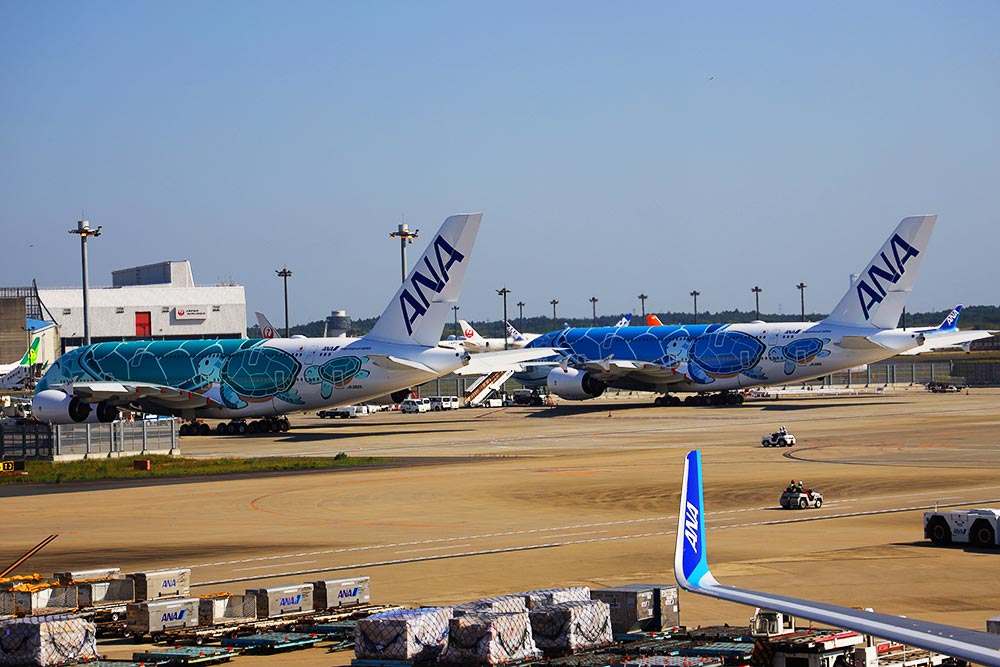 ANA A380 一号機二号機