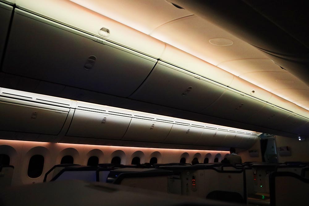 ANA ビジネスクラス機内