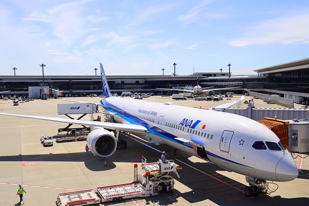ANA 787-10